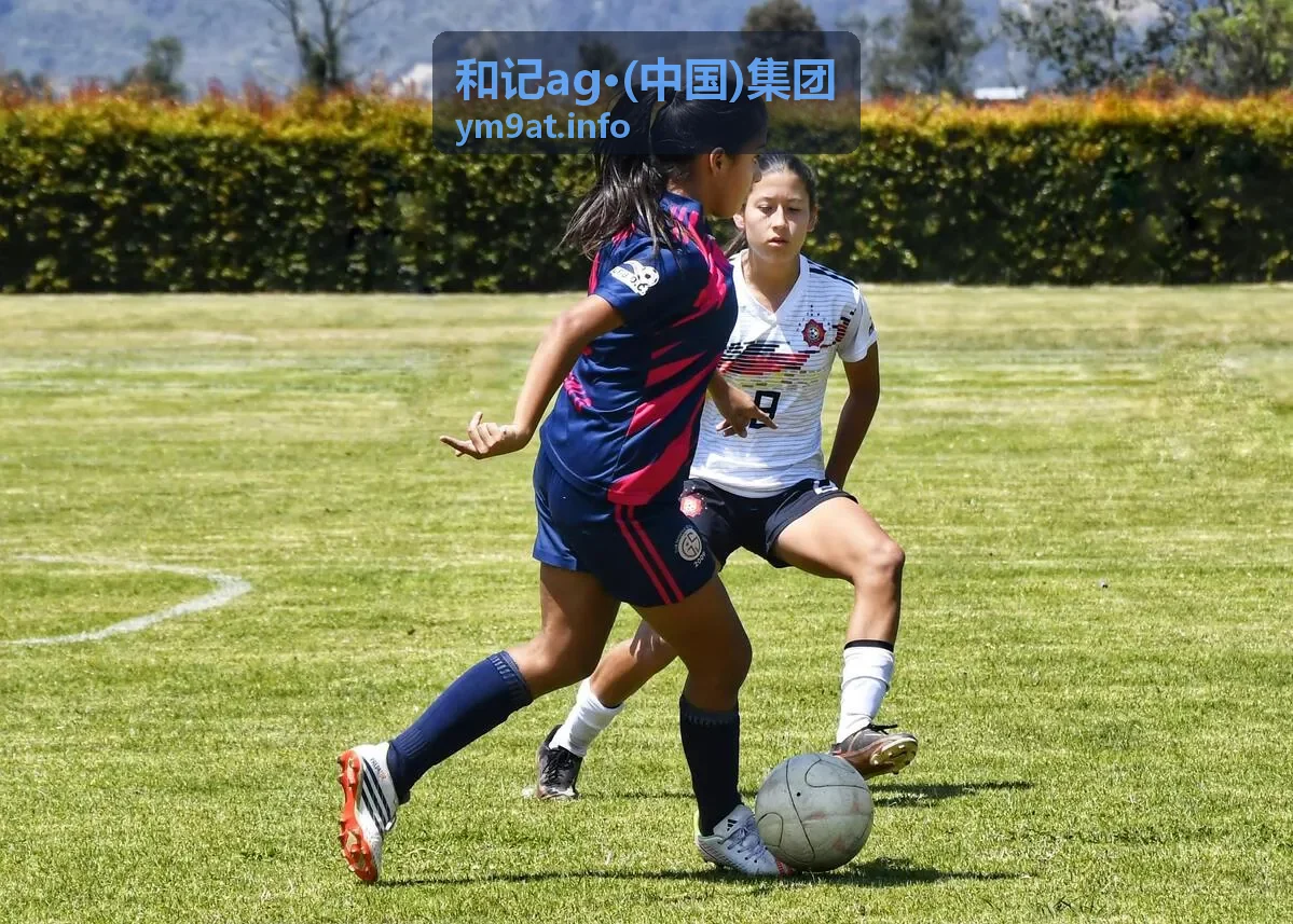 和记ag集团产业合作交流活动